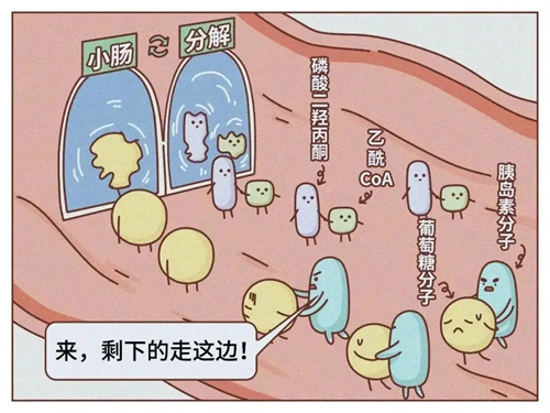 图片细节